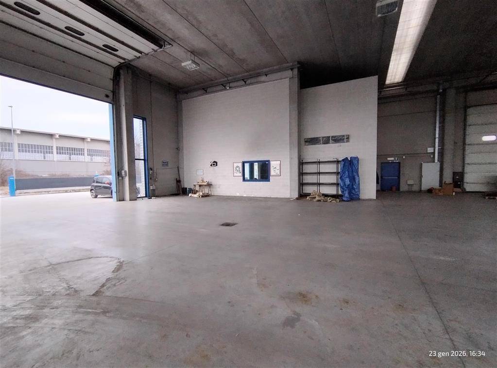 immagine annuncio 5 di 14