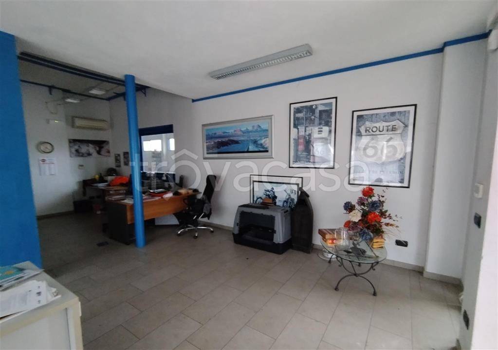 immagine annuncio 8 di 14