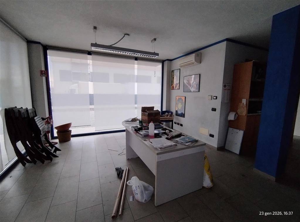 immagine annuncio 9 di 14