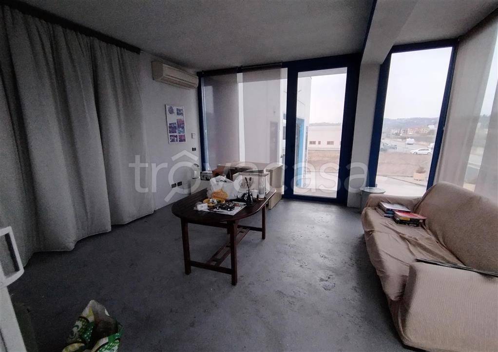 immagine annuncio 11 di 14