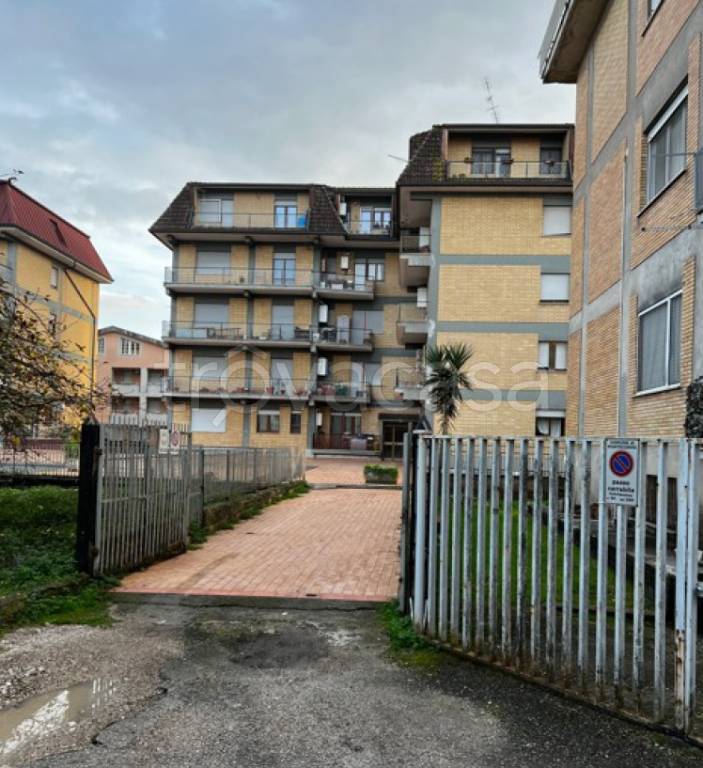 immagine annuncio 9 di 11