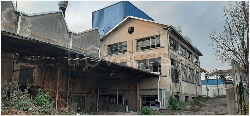 immagine annuncio 1 di 8