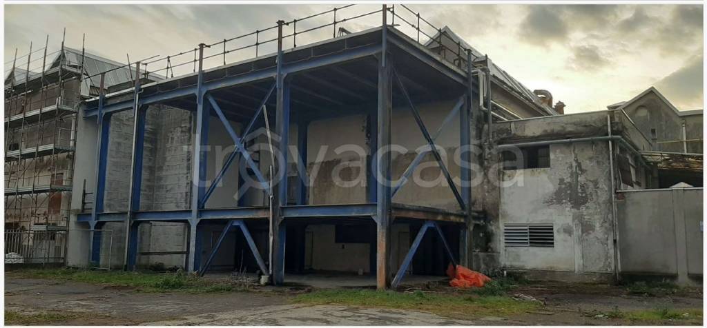 immagine annuncio 2 di 8