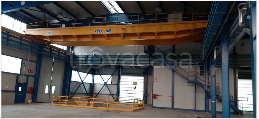 immagine annuncio 3 di 8