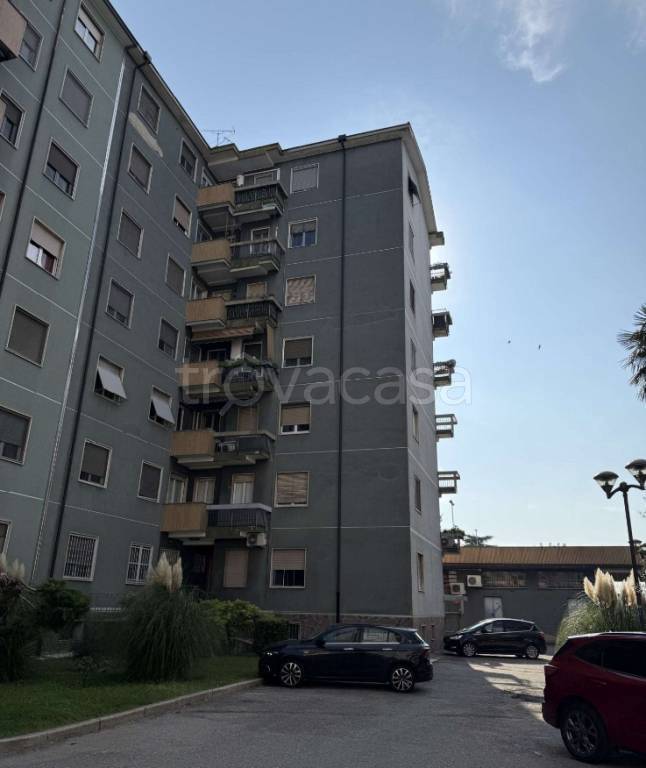 immagine annuncio 7 di 15