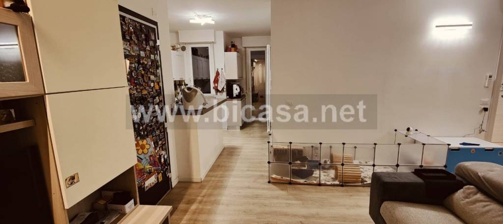 immagine annuncio 7 di 12