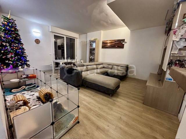 immagine annuncio 3 di 11