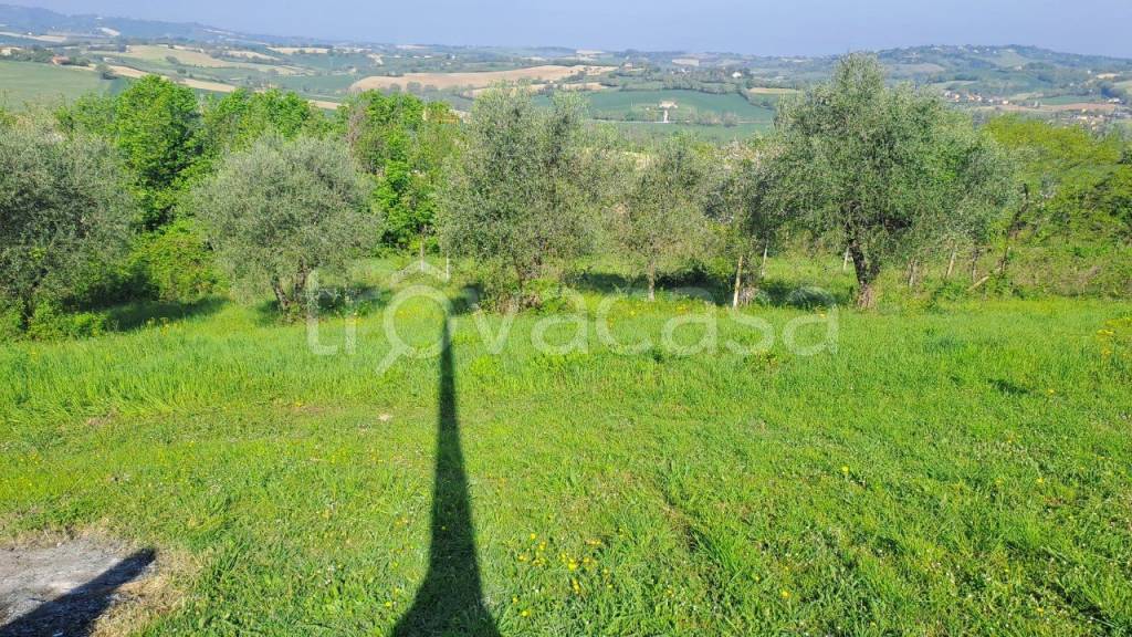 immagine annuncio 5 di 13