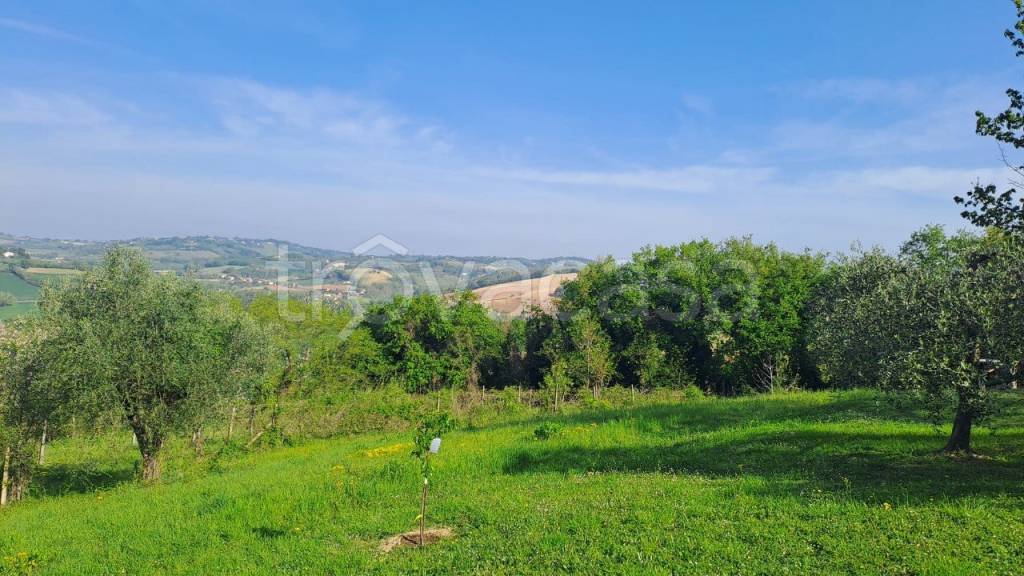 immagine annuncio 6 di 13