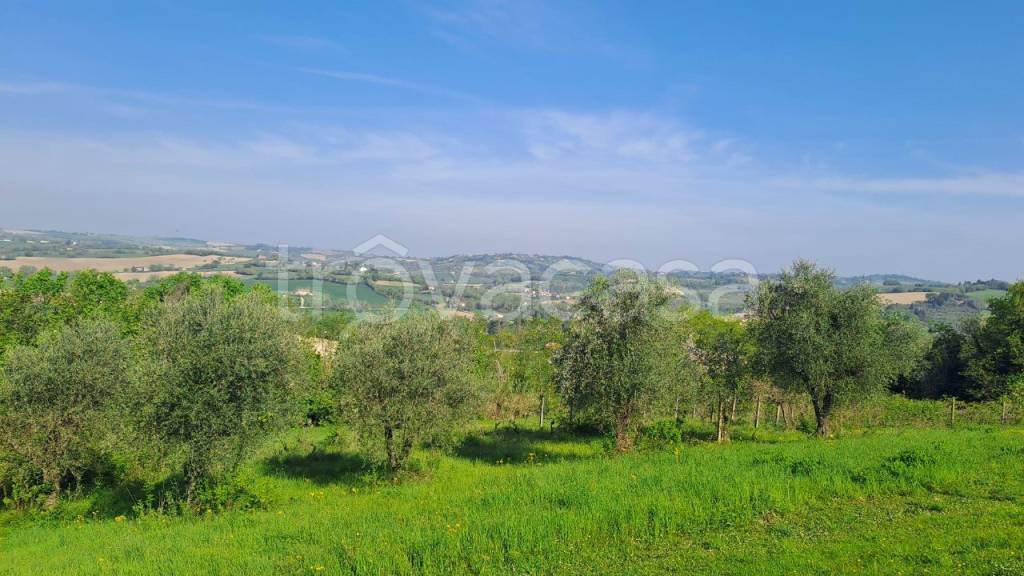 immagine annuncio 10 di 13