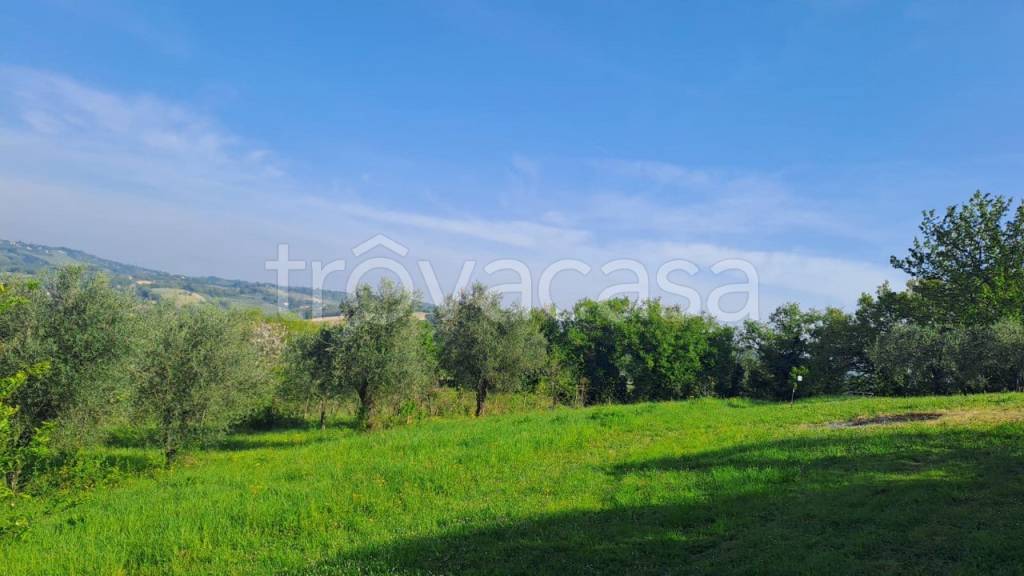 immagine annuncio 12 di 13