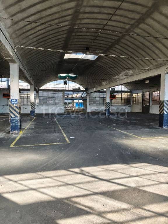 immagine annuncio 6 di 8