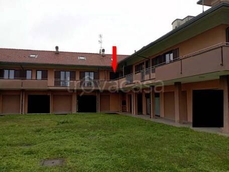 immagine annuncio 6 di 15