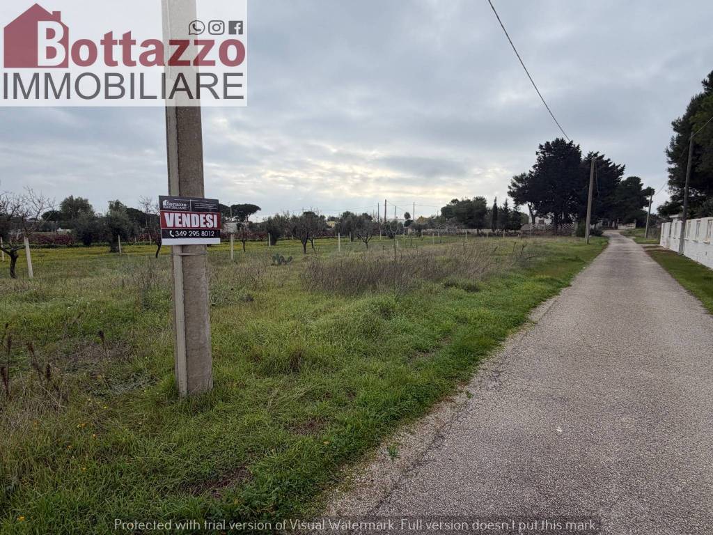 immagine annuncio 2 di 11