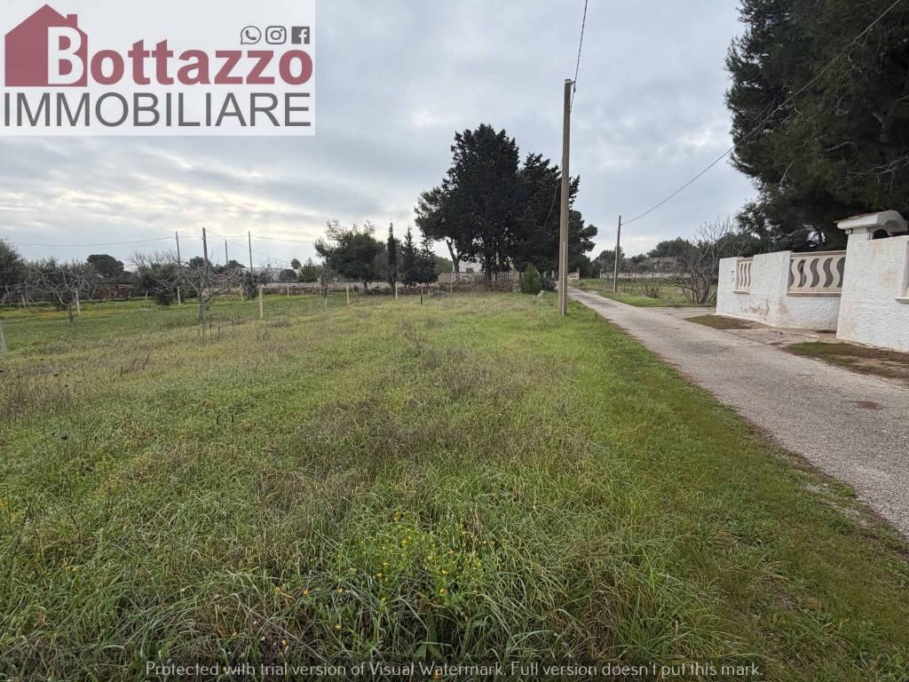 immagine annuncio 4 di 11