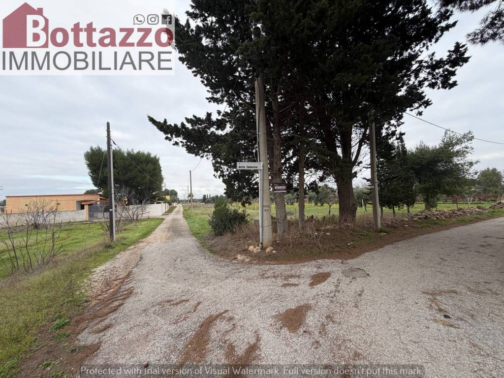 immagine annuncio 5 di 11