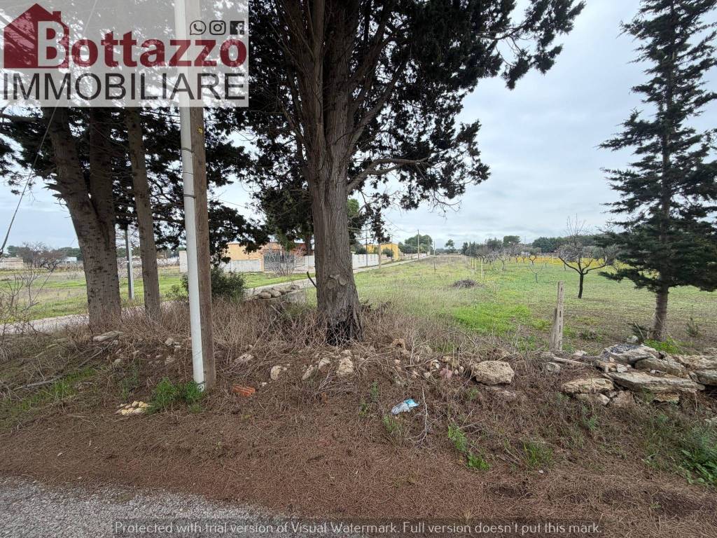 immagine annuncio 7 di 11