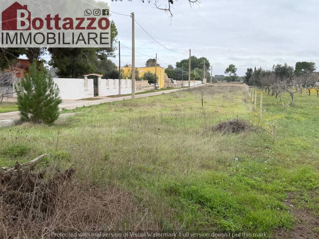 immagine annuncio 8 di 11