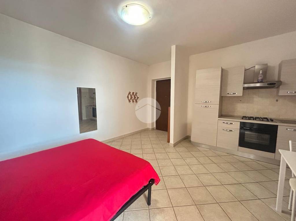 immagine annuncio 4 di 14