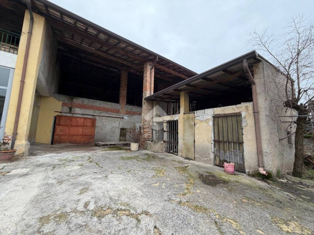 immagine annuncio 11 di 13