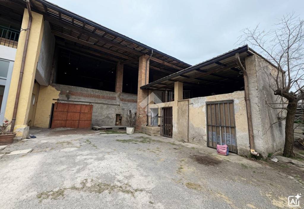 immagine annuncio 12 di 13