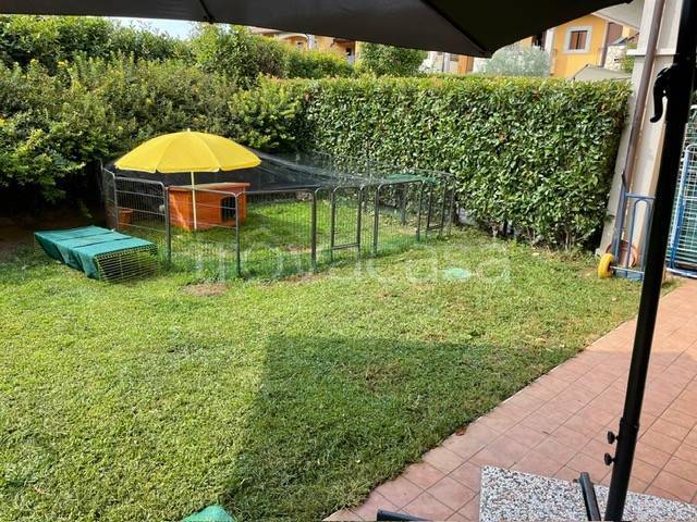 immagine annuncio 9 di 15