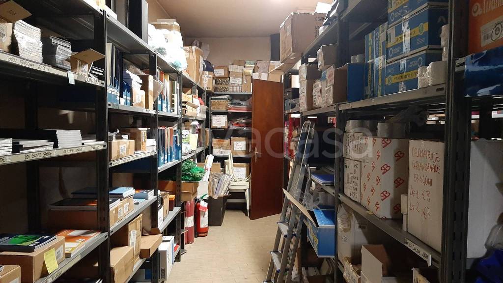 immagine annuncio 12 di 14