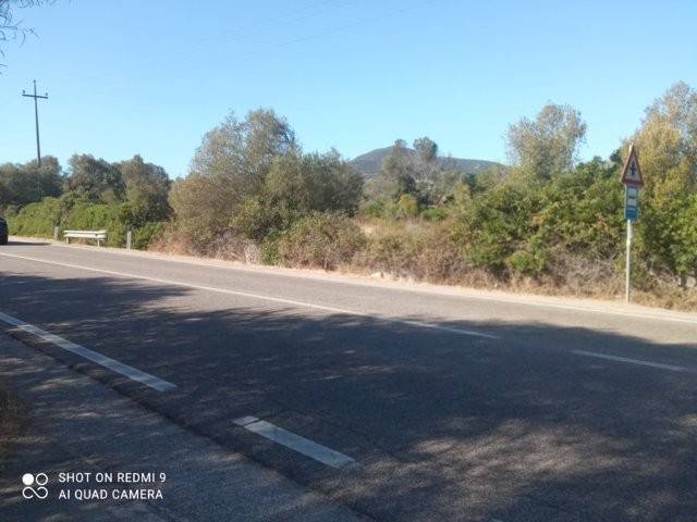 immagine annuncio 5 di 7