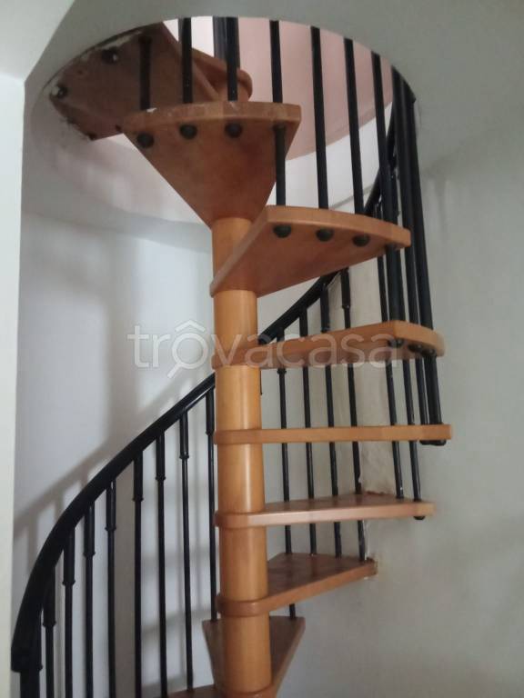 immagine annuncio 4 di 12