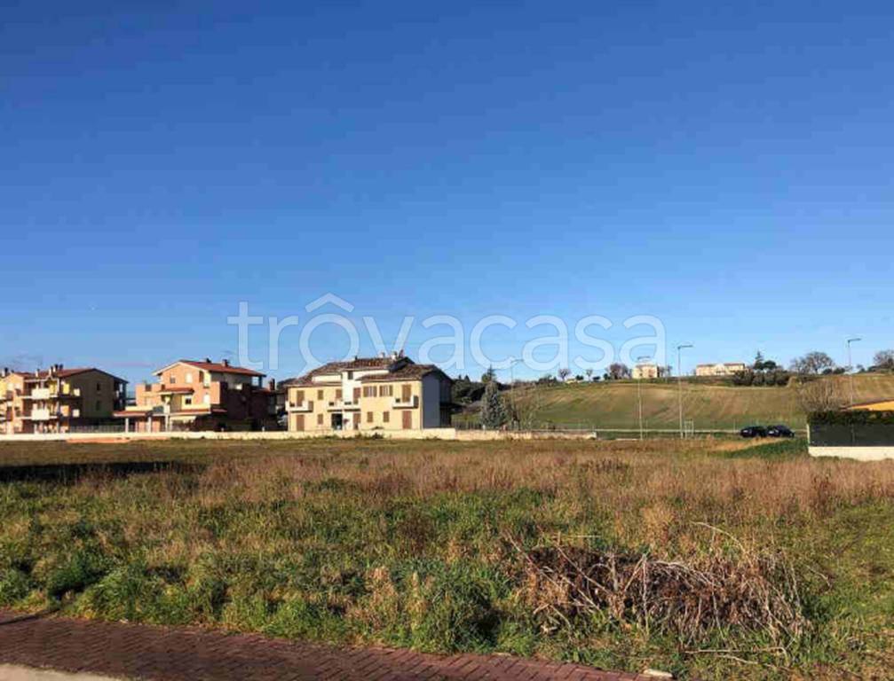 immagine annuncio 7 di 11