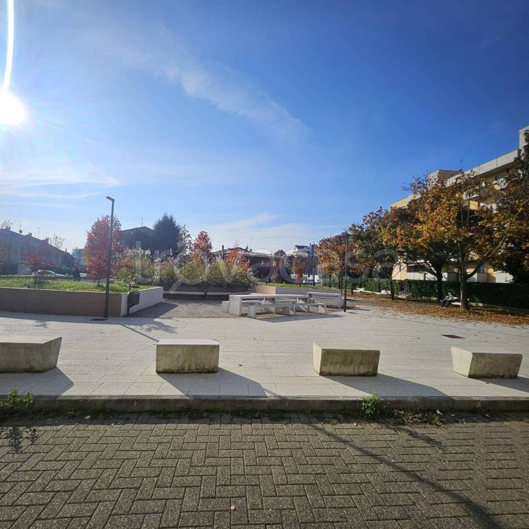 immagine annuncio 1 di 15