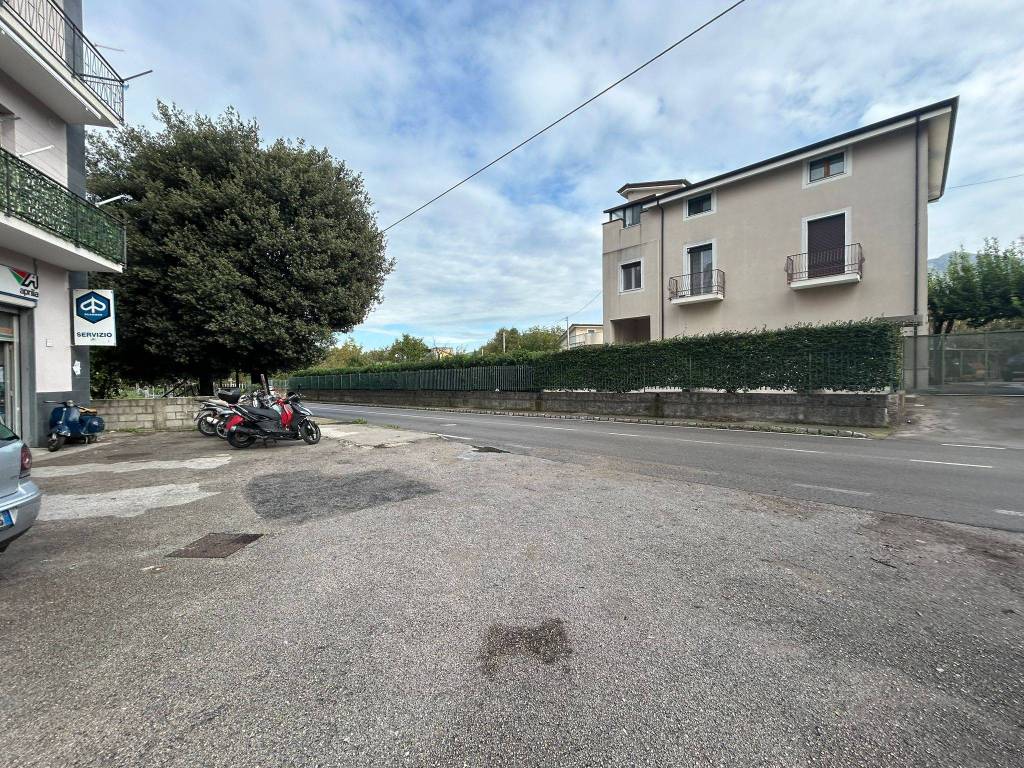 immagine annuncio 4 di 14