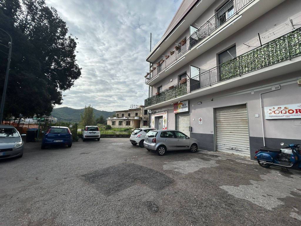 immagine annuncio 5 di 14