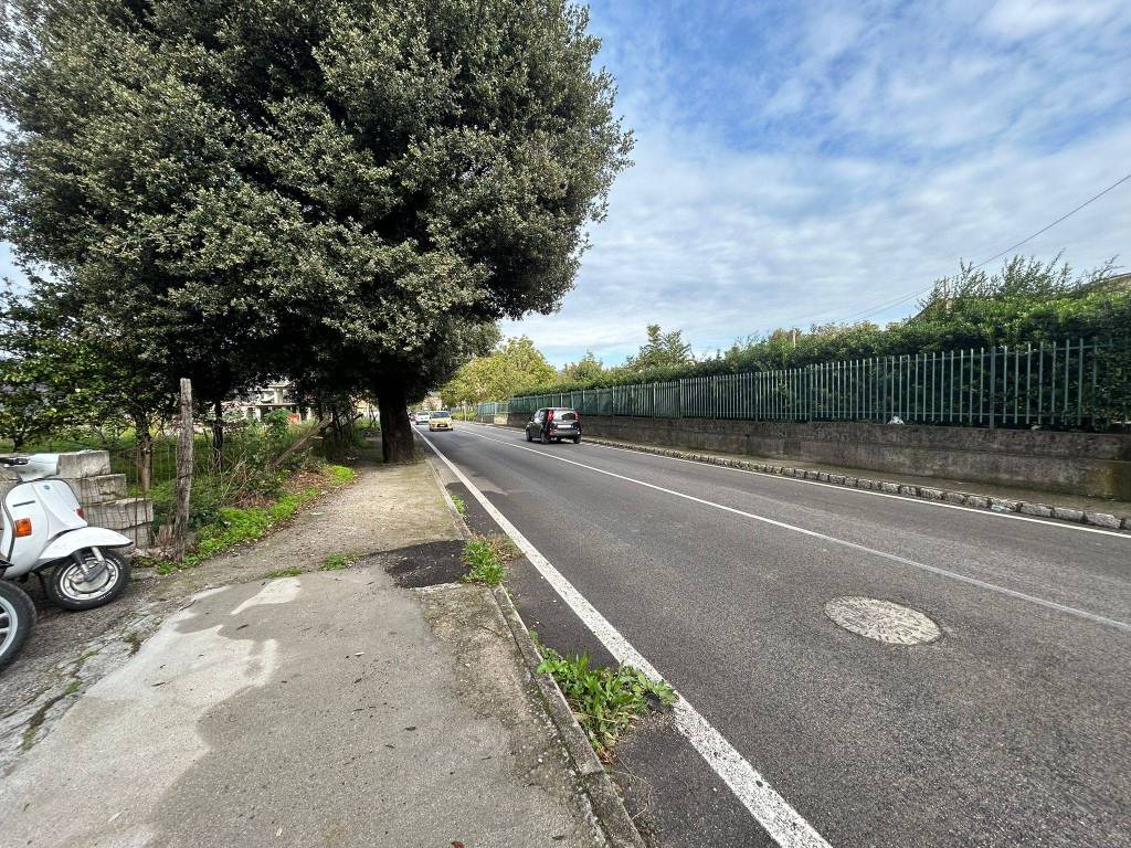 immagine annuncio 6 di 14