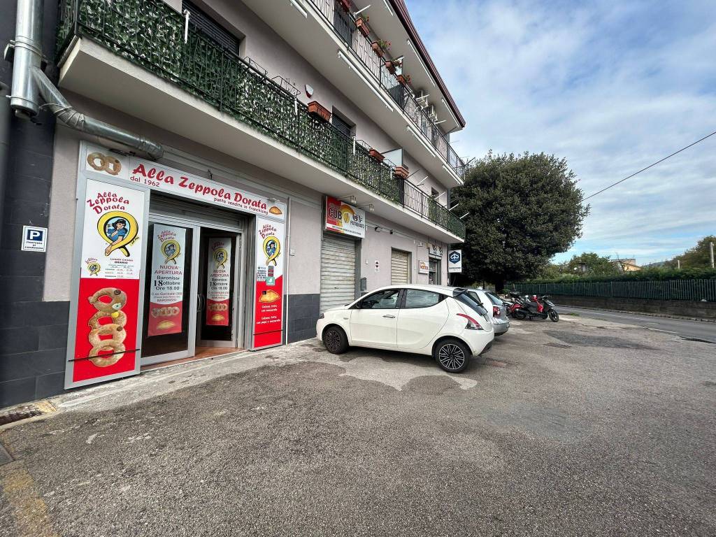 immagine annuncio 11 di 14