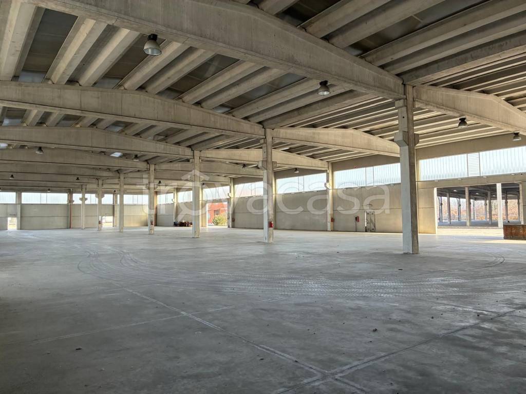 immagine annuncio 3 di 14