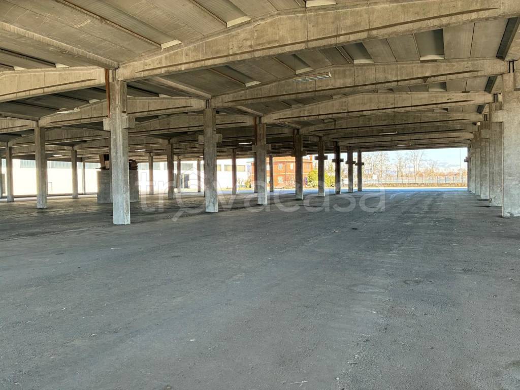 immagine annuncio 8 di 14