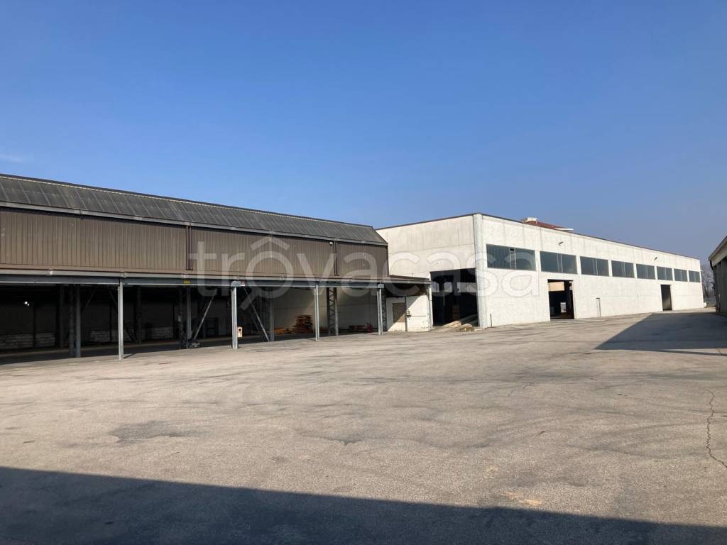 immagine annuncio 9 di 14