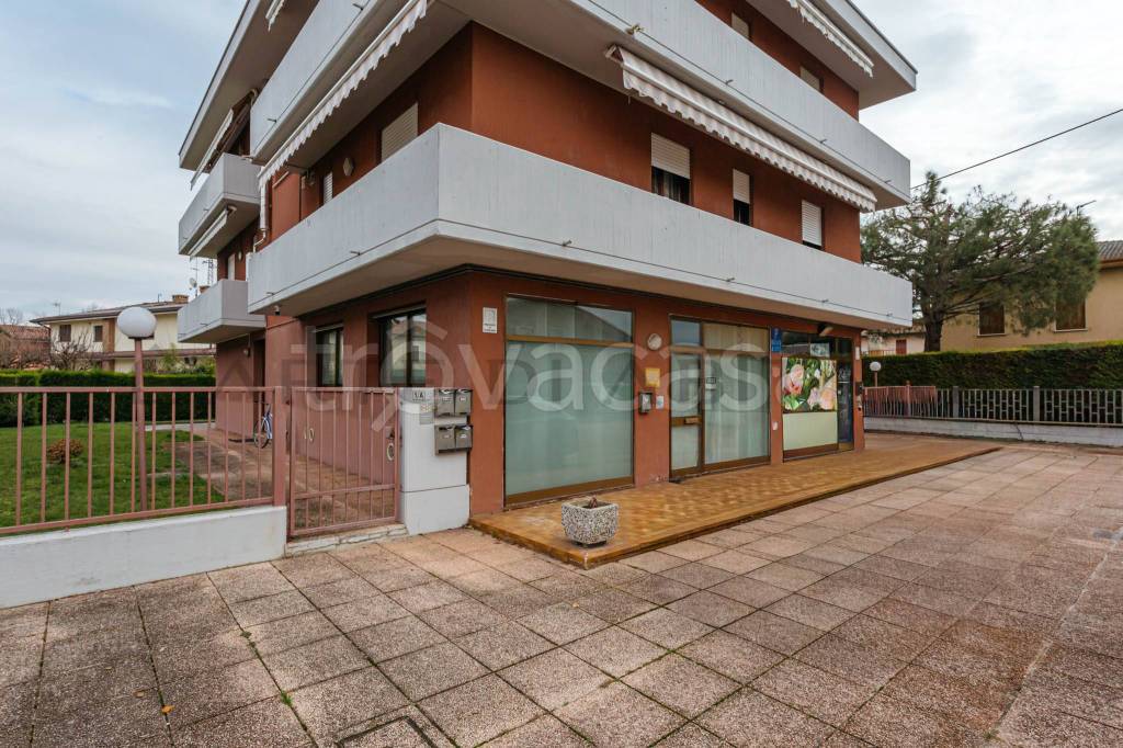 immagine annuncio 10 di 11