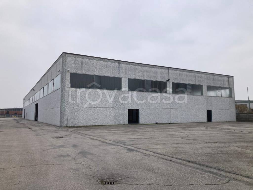 immagine annuncio 1 di 14