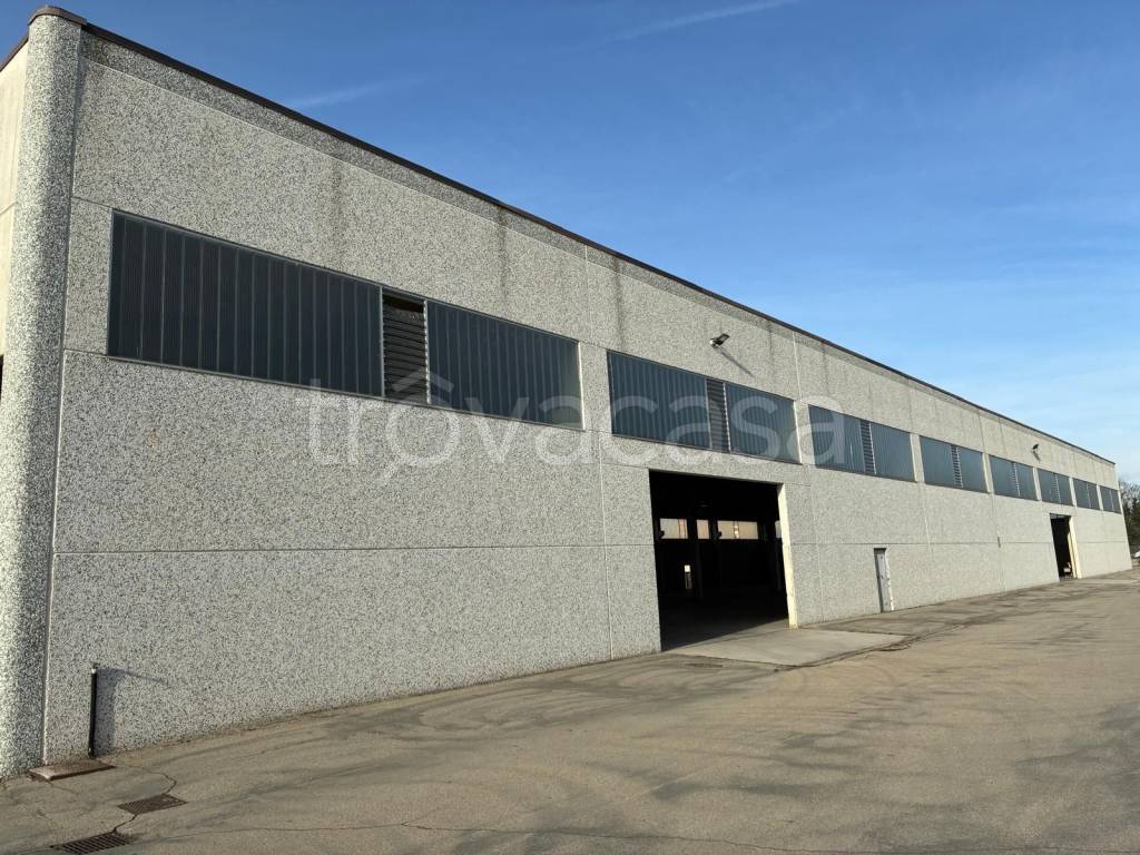 immagine annuncio 2 di 14