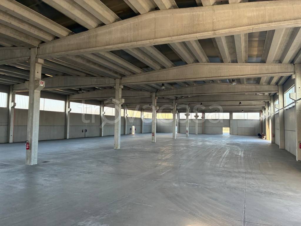 immagine annuncio 4 di 14