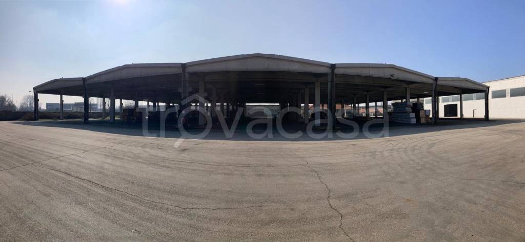 immagine annuncio 5 di 14