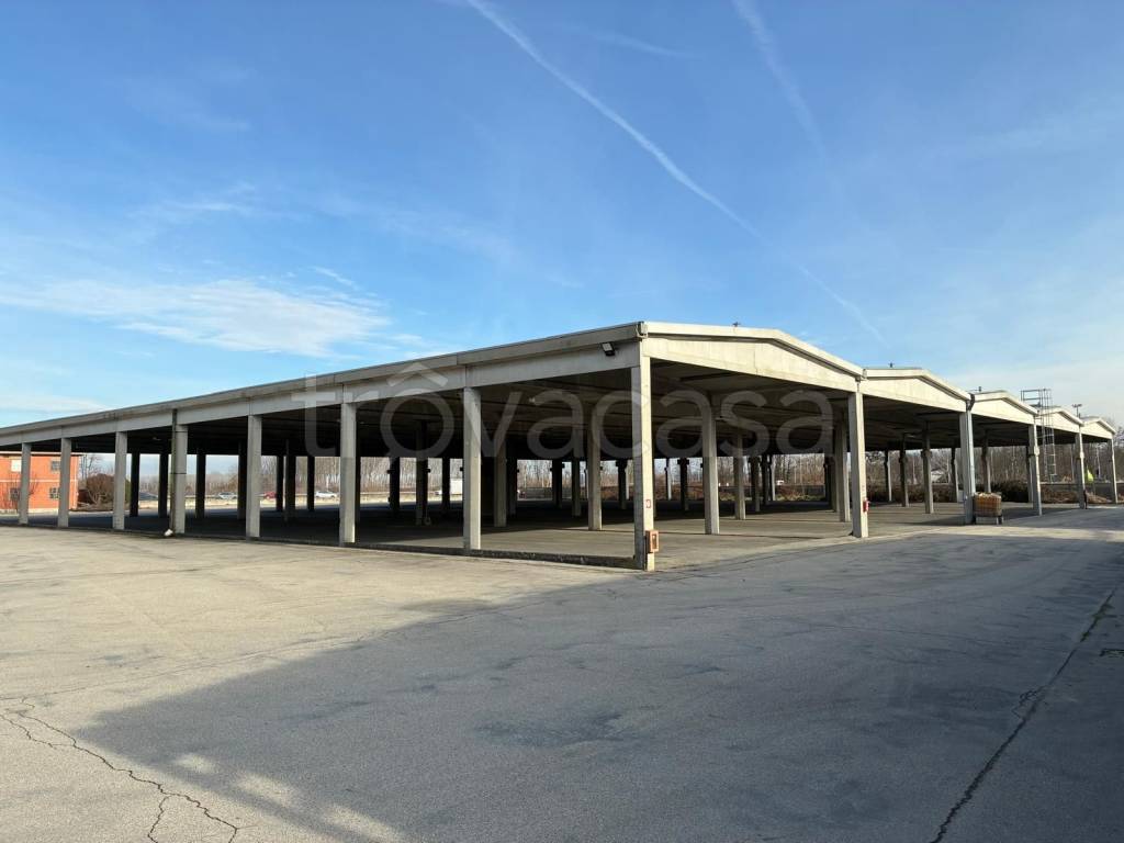 immagine annuncio 6 di 14