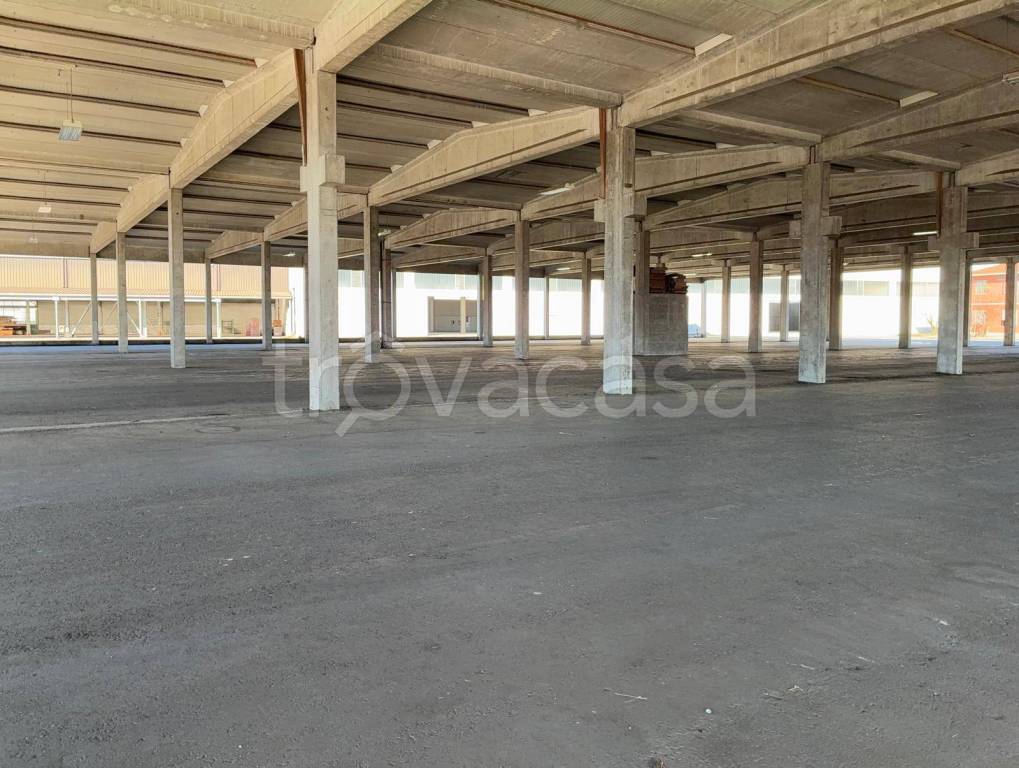 immagine annuncio 7 di 14