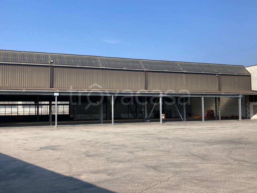 immagine annuncio 10 di 14