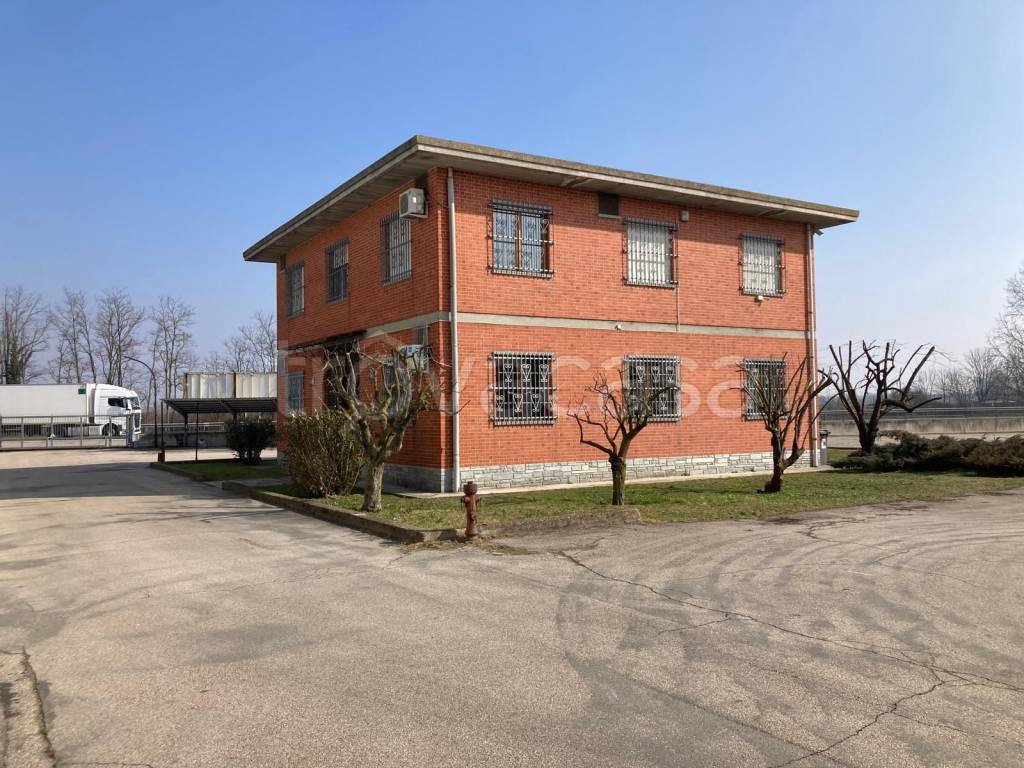 immagine annuncio 12 di 14