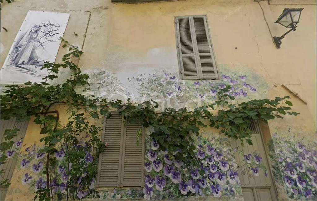 immagine annuncio 1 di 14