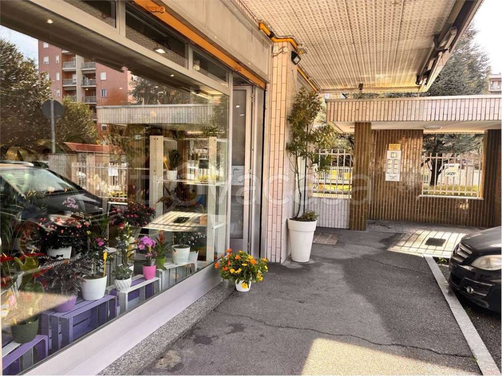 immagine annuncio 13 di 15