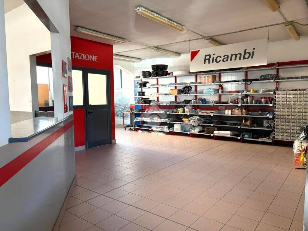 immagine annuncio 3 di 15